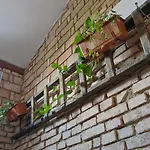 Kamarytka * チェスケー・ブジェヨヴィツェ